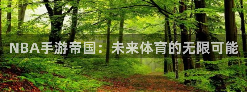 恩佐娱乐手机版最新功能介绍视频：NBA手游帝国：未来体育的无