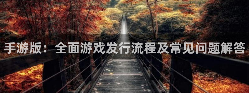 恩佐娱乐手机登录：手游版：全面游戏发行流程及常见问题解答