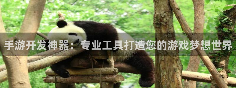 恩佐娱乐手机版最新功能介绍视频：手游开发神器：专业工具打造您