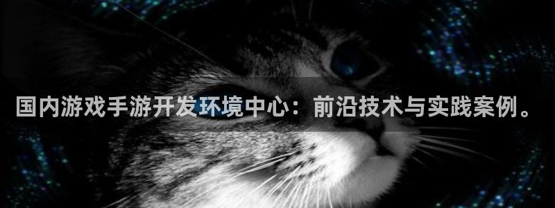 恩佐娱乐：国内游戏手游开发环境中心：前沿技术与实践案例。
