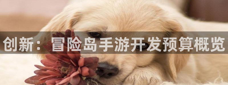 恩佐娱乐平台正规吗可靠吗：创新：冒险岛手游开发预算概览