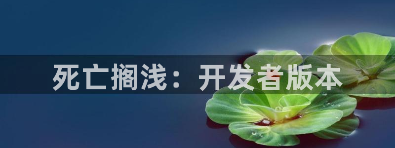 恩佐娱乐平台正规吗安全吗：死亡搁浅：开发者版本