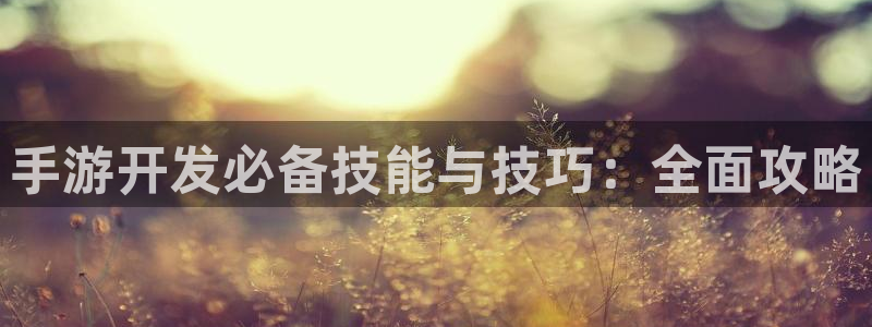恩佐娱乐手机登录：手游开发必备技能与技巧：全面攻略