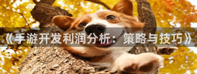 恩佐娱乐平台正规吗安全吗：《手游开发利润分析：策略与技巧》