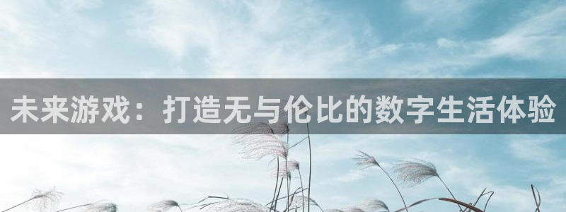 恩佐娱乐1：未来游戏：打造无与伦比的数字生活体验