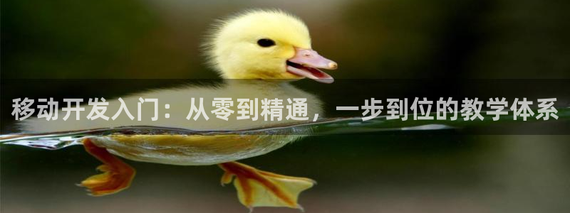 恩佐娱乐手机登录：移动开发入门：从零到精通，一步到位的教学体