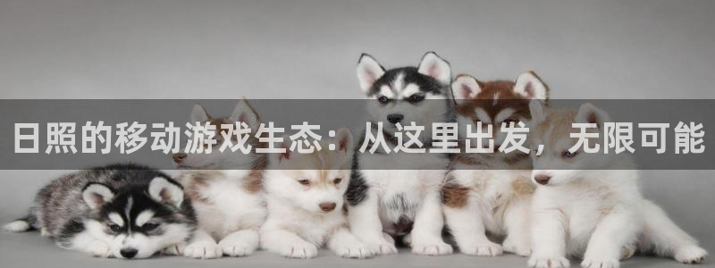 恩佐娱乐注册：日照的移动游戏生态：从这里出发，无限可能