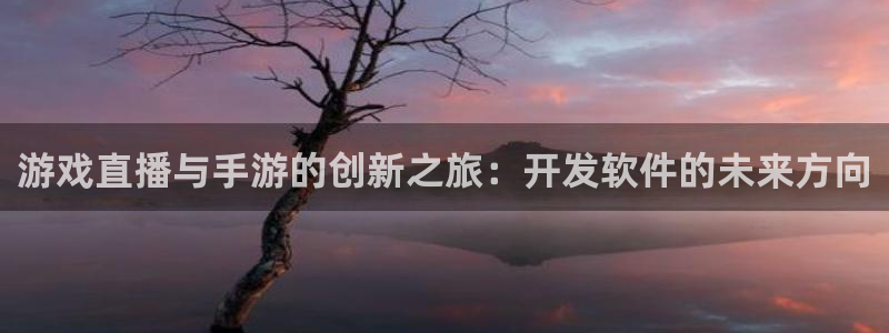 恩佐娱乐登陆：游戏直播与手游的创新之旅：开发软件的未来方向