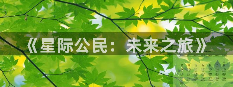 恩佐娱乐官方注册：《星际公民：未来之旅》