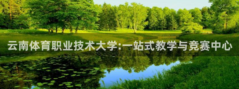 3377体育全网