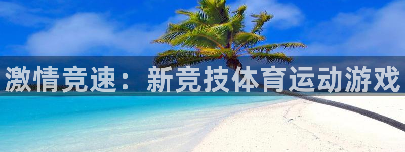 3377体育官网入口下载最新