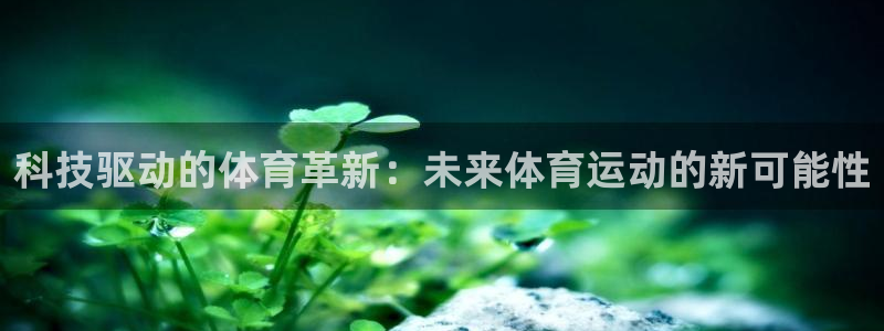 3377体育