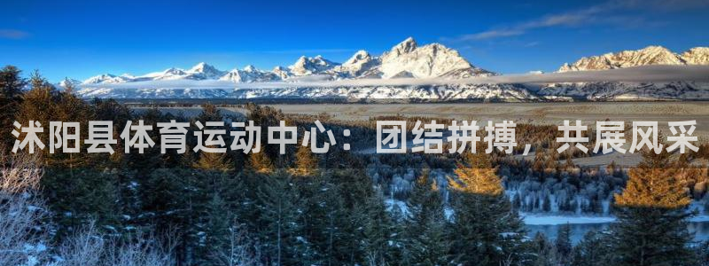 3377体育靠谱吗