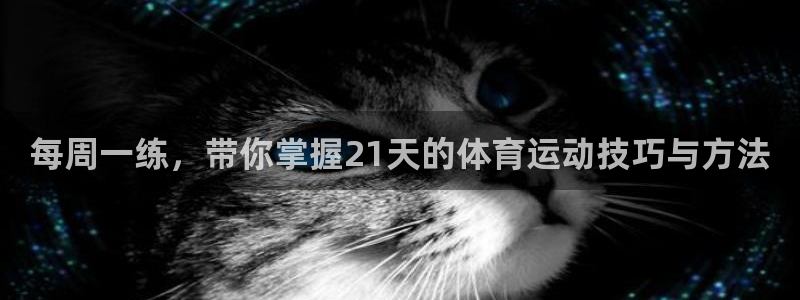 3377体育官网入口下载最新