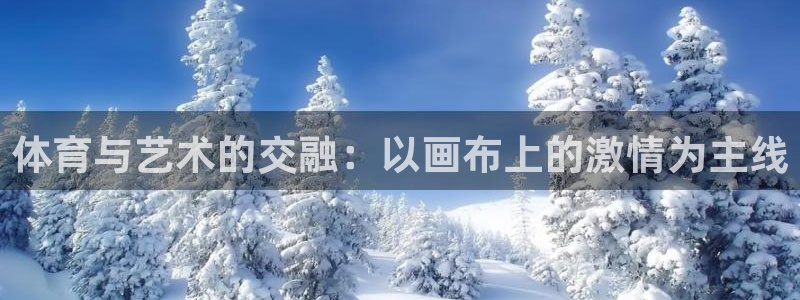 3377体育com