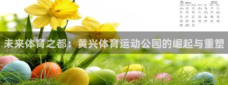 3377体育手机平台