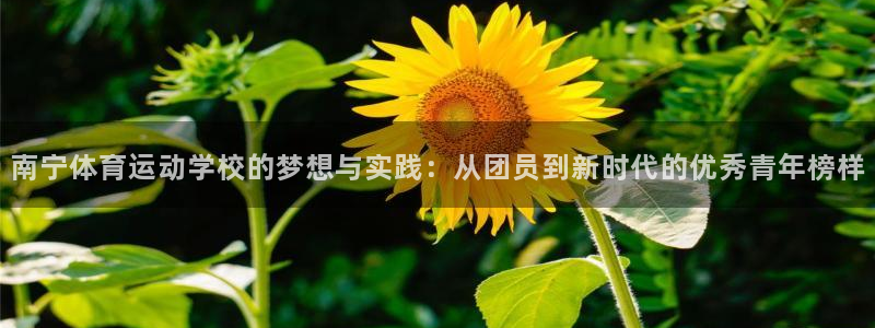 3377体育靠谱吗