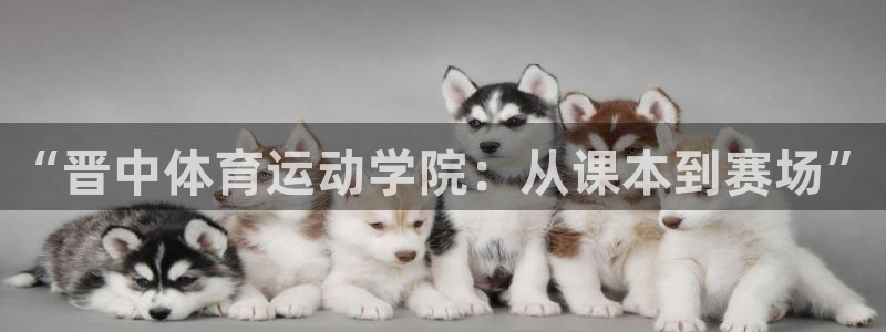 3377体育官网下载