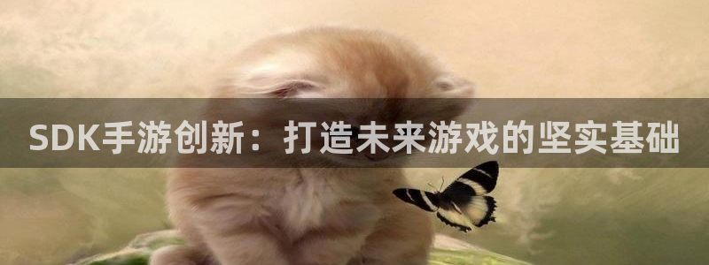 恩佐娱乐：SDK手游创新：打造未来游戏的坚实基础